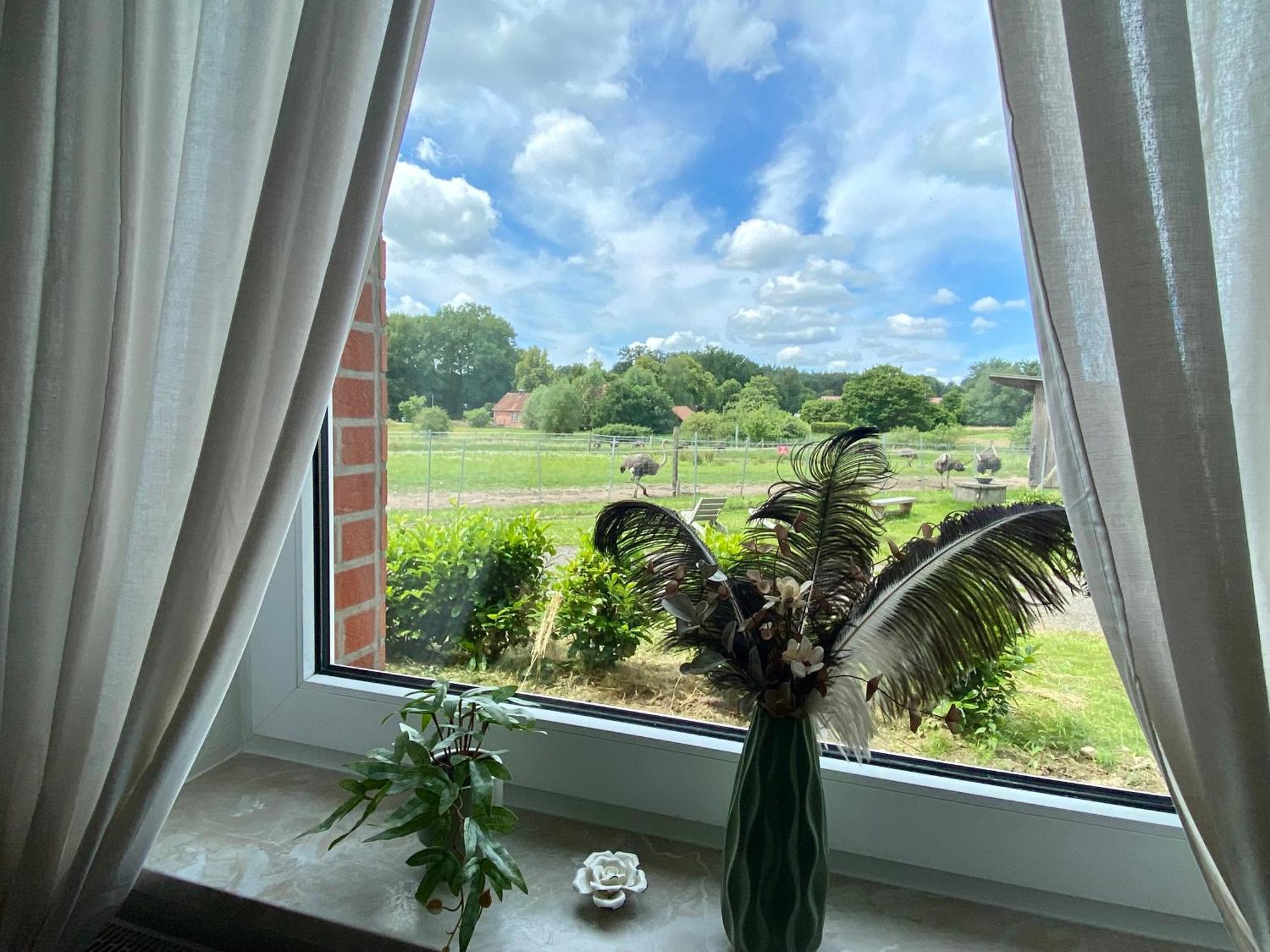 Appartement Straussenblick Erdgeschoss Bad Fallingbostel